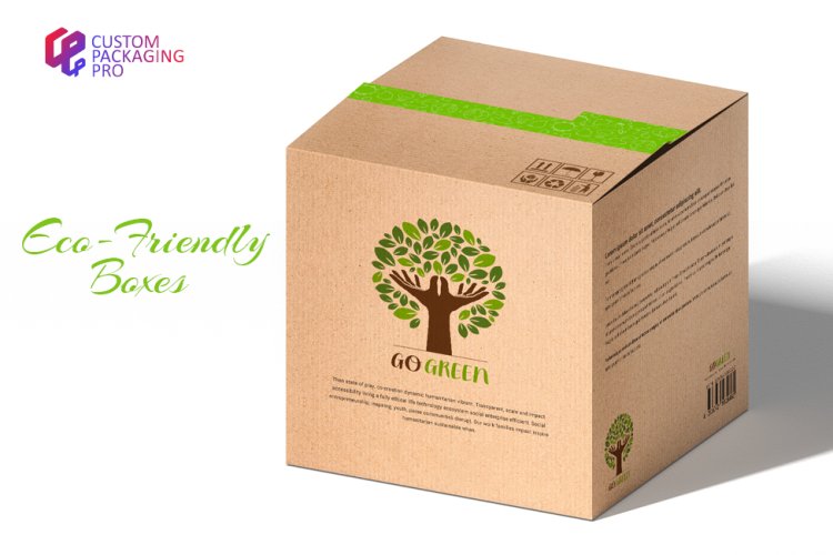 How to Develop a Dazzling Impact with Eco-Friendly Boxes