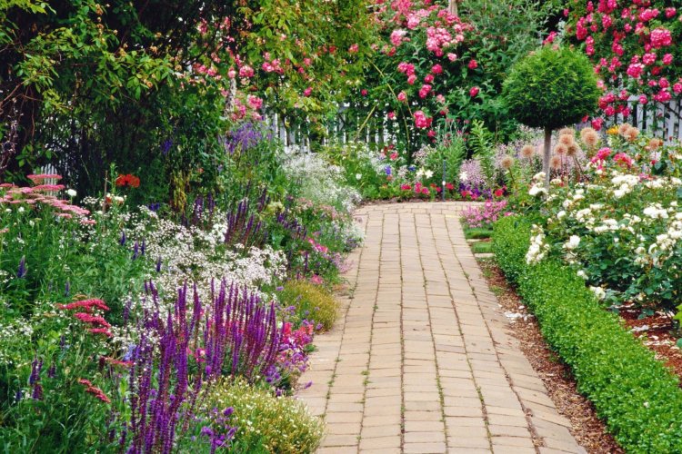 Transform Your Garden with Stunning Garden Flowers