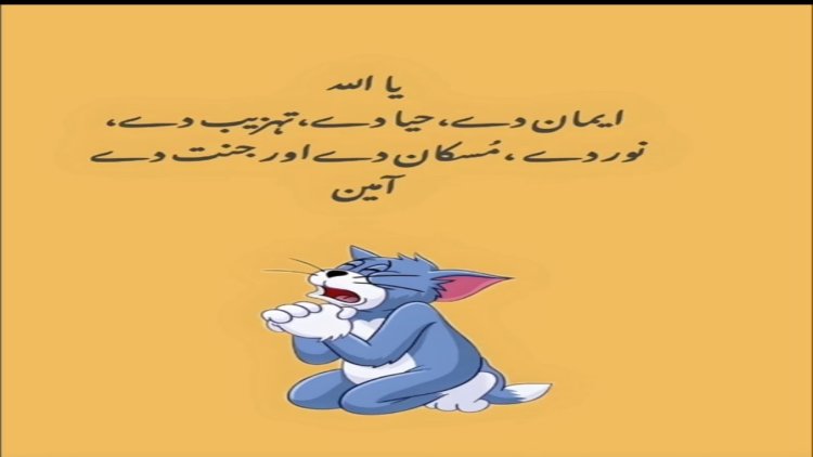Attitude Shayari for Boys 2-Line Copy Paste in 2025