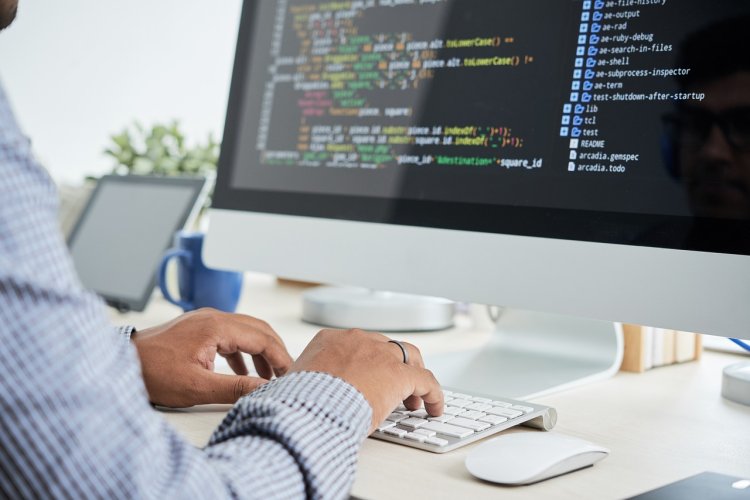 Benefits of Custom Software Development Services in South Africa