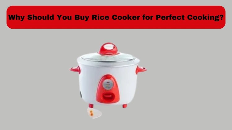 Why Should You Buy Rice Cooker for Perfect Cooking?