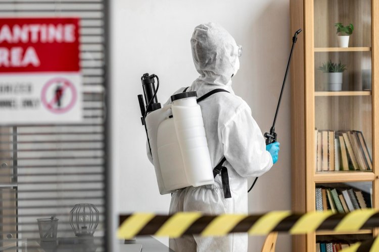The Ultimate Guide to Pest Control Service in Melbourne: Keep Your Home Rodent-Free