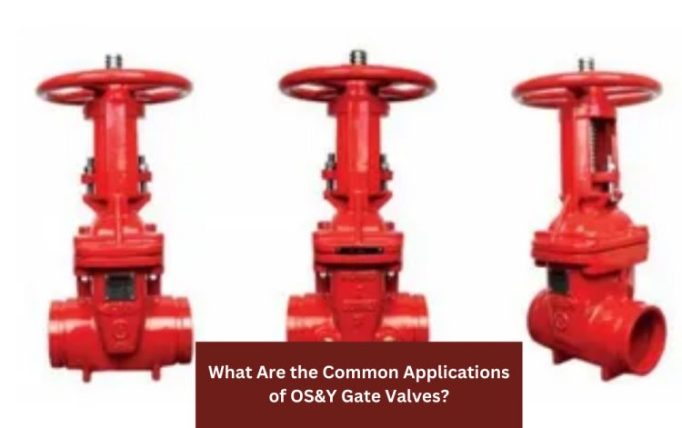 What Are the Common Applications of OS&Y Gate Valves?