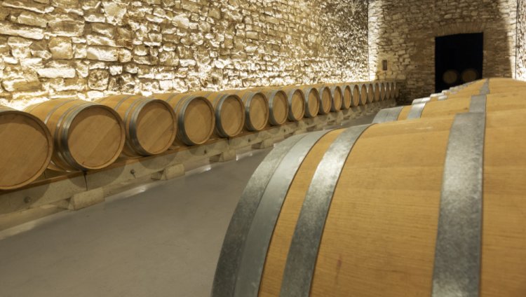 Exploring the Wineries in Hunter Valley, Australia