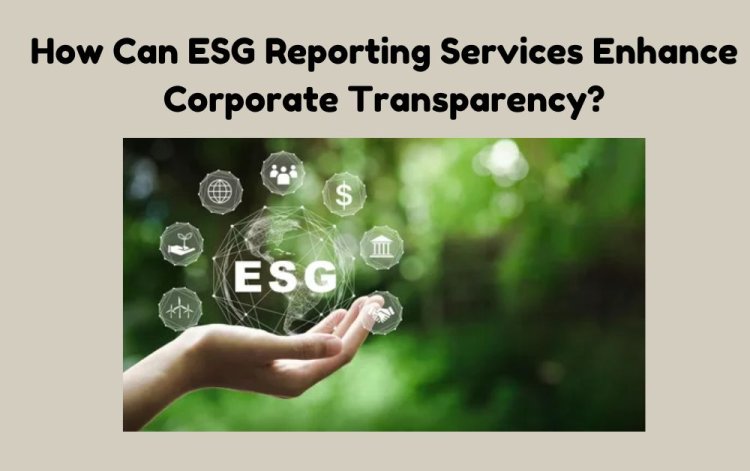 How Can ESG Reporting Services Enhance Corporate Transparency?
