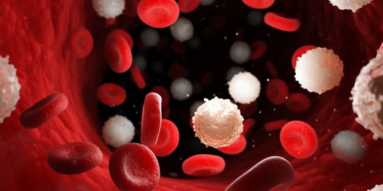 Anemia in Dubai: Understanding Causes and Treatments for Better Health