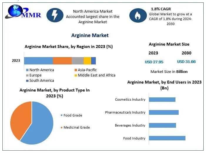 Navigating the Global Arginine Industry: Trends and Future Outlook