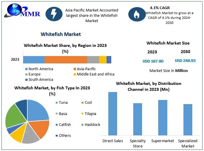 Whitefish Market Evolution: Analyzing Global Patterns and Future Directions