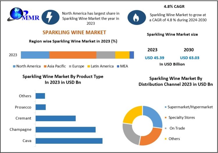 Sparkling Wine Industry Trends and Growth Outlook: A Global Perspective