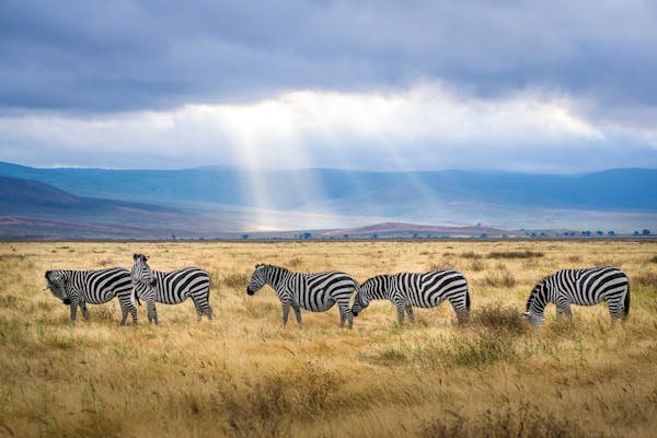 Best Activities in Arusha, Tanzania | Nature, Culture & Adventure