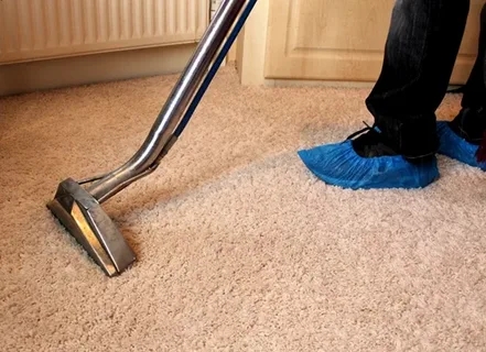 Affordable Rates, Superior Service: Carpet Cleaning in Clarksville, Tennessee