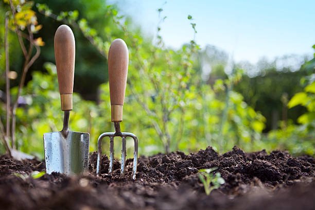 How to Choose the Right Garden Tools in Dubai’s Climate