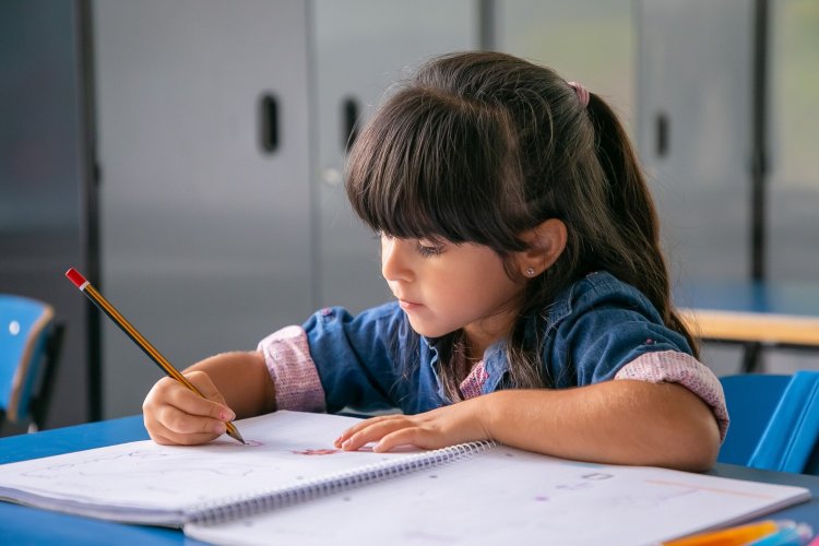 A Parent’s Guide to Effective and Reliable Support for NAPLAN Test Preparation
