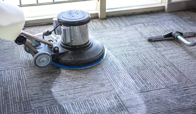 Expert Carpet Cleaning in Loveland | Top Services Near You