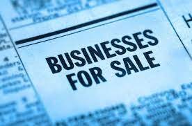 Buy a Business, Build a Future: Discover Profitable Businesses for Sale in Gulf with Connect to Invest