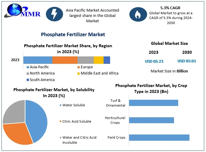 Phosphate Fertilizer Growth Across North America, Europe, Asia-Pacific, and Africa: Regional Insights and Production Forecasts