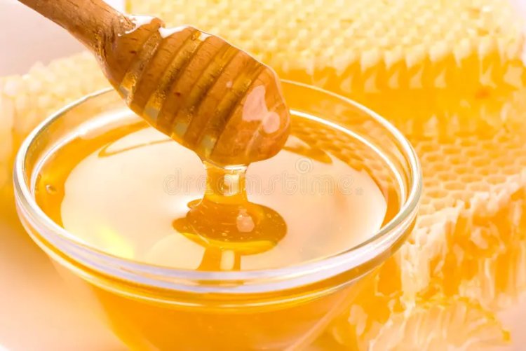 How Beewel Ensures the Purity of Every Drop of Kashmir Honey