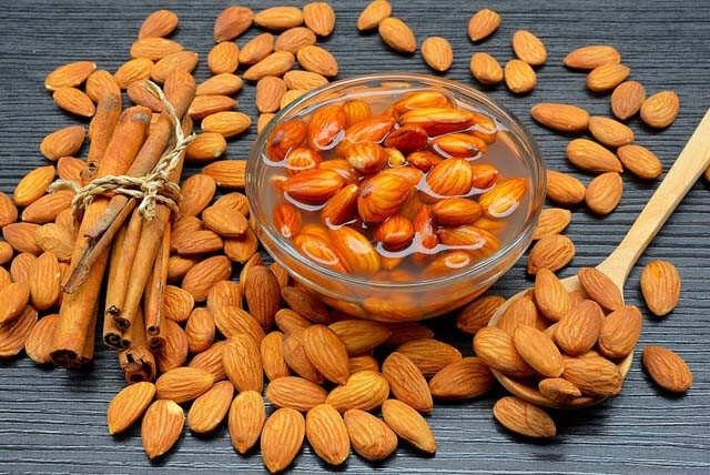 Almond Processing Plant Report 2025 | Requirements and Machinery