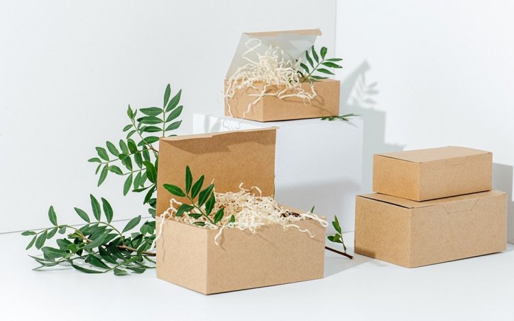 Why Custom CBD Boxes Matter for Packaging Trends