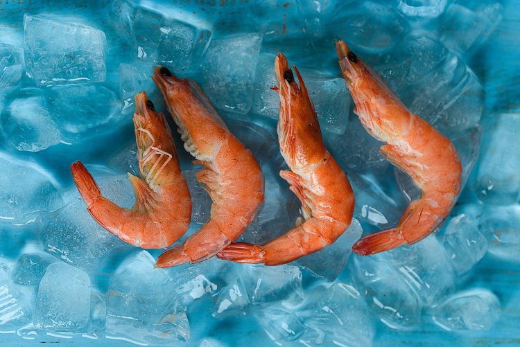 Understanding the Insights and Requirements to Setup Frozen Shrimp Manufacturing Plant Project