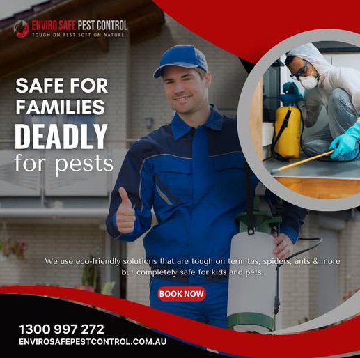 Unseen Intruders: Common Pests in Melbourne Homes & How to Keep Them Out