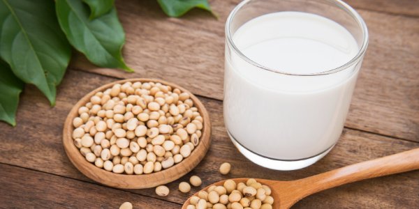 Soya Milk Manufacturing Plant Setup Report 2025: Business Plan and Manpower Needs