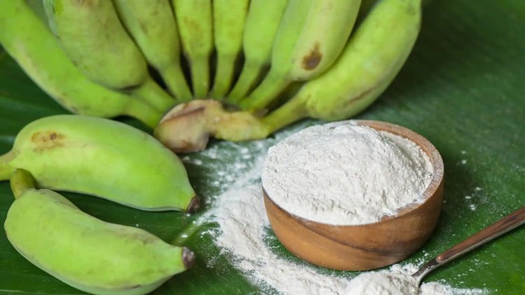 Banana Powder Manufacturing Plant Project Report: Unit Operations, Raw Material and Utility Requirements