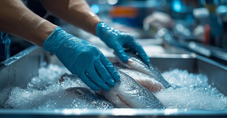 Keys to Running a Profitable Fish Processing Plant Setup Report 2025: Cost Details