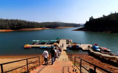 Mysore Ooty Coorg Tour Package: Hill Stations & Heritage