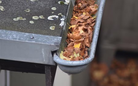 Gutter Cleaning in Geelong: The Home Maintenance Task You Shouldn’t Skip