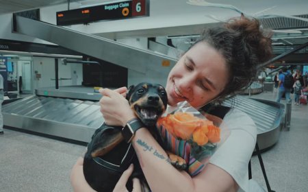 Breeze Airways Pet Fees: Full Guide To Costs And Policies