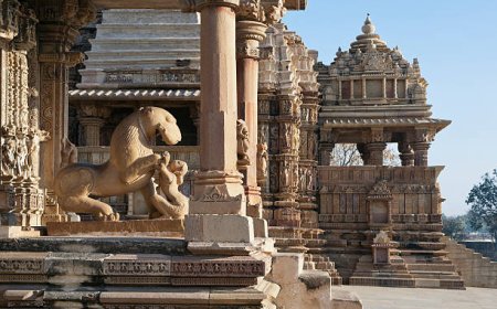 Khajuraho Tour Packages: Adventure with Panna National Park