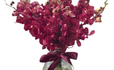 Surprise Someone Today with Same Day Flower Delivery St Kilda