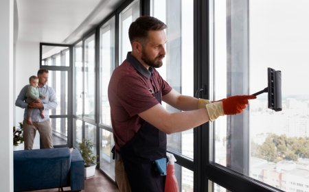 Effective Bird Deterrent Services – Dubai | Care N Clean