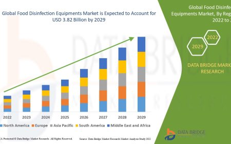Food Disinfection Equipment Market Outlook 2025: Safety, Hygiene & Technological Integration
