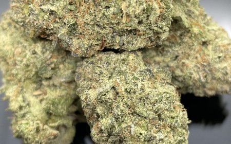 Same Day Weed Delivery in Cambridge: Convenience, Variety, and Speed