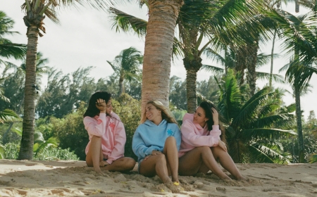 Pink Palm Puff Hoodie and Pink Palm Puff Collection: Soft Style with a Loud Identity