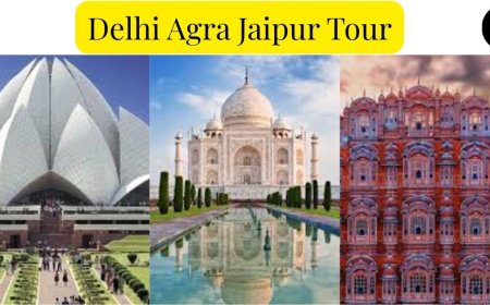 Delhi Agra Jaipur Tour Packages: Discover India's Royal Heritage