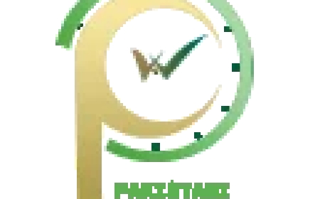 Essential Tools and Accessories Every Pakistani Watch Collector Should Own