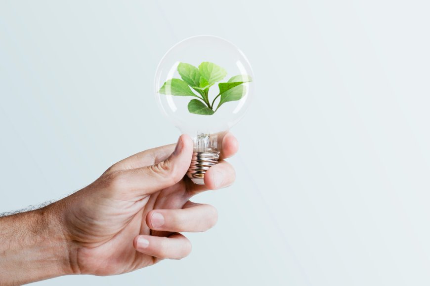Slash Your Energy Bills: Hidden Truths About UK Business Electricity Tariffs