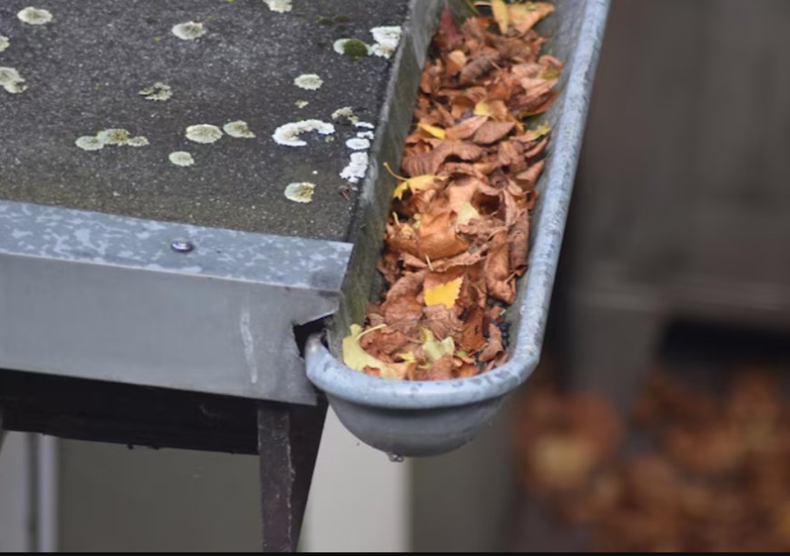 Gutter Cleaning in Geelong: The Home Maintenance Task You Shouldn’t Skip
