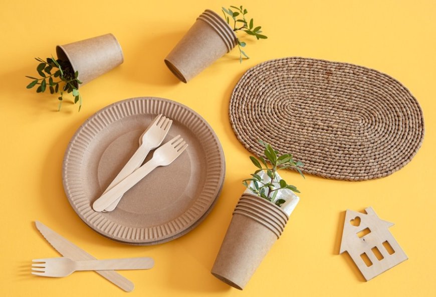 Rice Husk Based Biodegradable Disposable Cups and Plates Manufacturing: Trends, Technology, and Setup Essentials