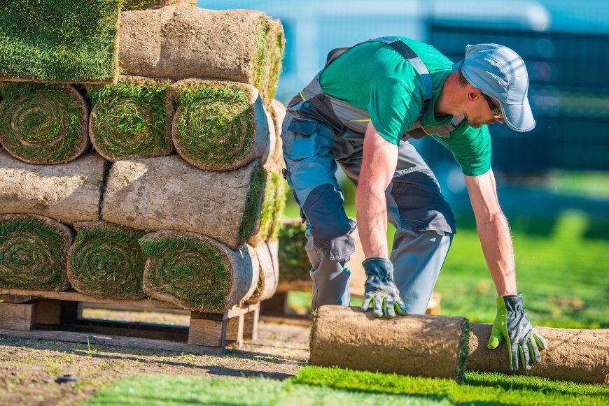 Why a Landscapers Contractor Is Essential for Your Outdoor Project