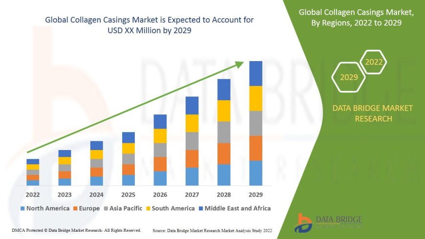 Global Collagen Casings Market Growth: Share, Value, Size, Scope, and Insights