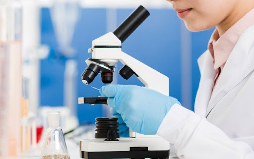 Inside the Pathology Lab: Where Science Meets Life-Saving Diagnostics