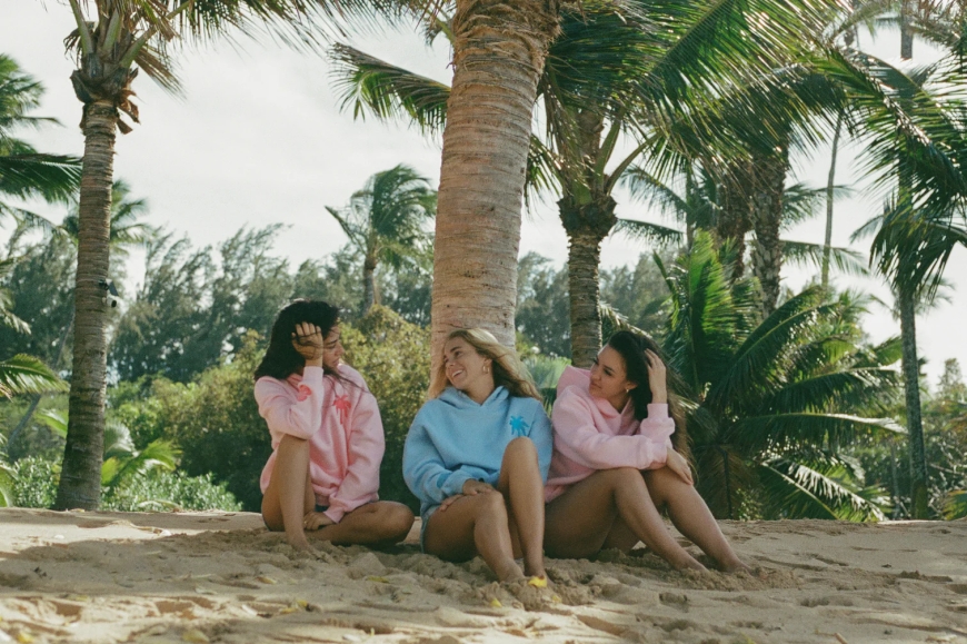 Pink Palm Puff Hoodie and Pink Palm Puff Collection: Soft Style with a Loud Identity