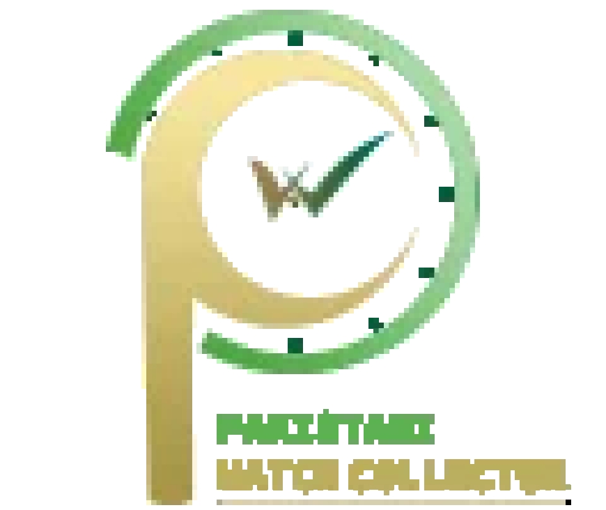 Essential Tools and Accessories Every Pakistani Watch Collector Should Own