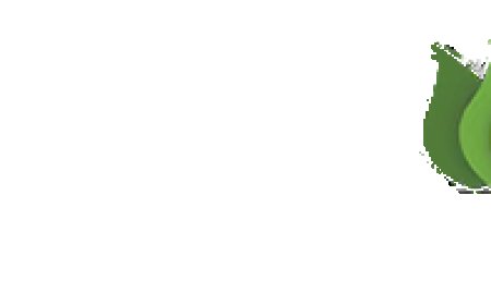 Enhancing Home Interiors with Parma Flooring's European Oak Collection