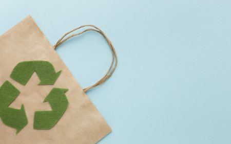 Do Eco Friendly Products Really Help the Environment?