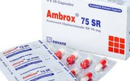 Ambrox – The Powerhouse of Modern Perfumery